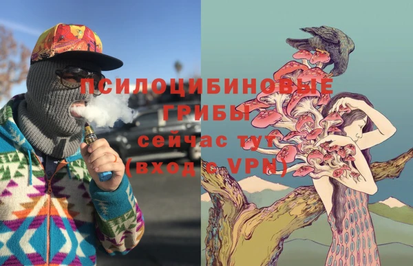 spice Алексеевка