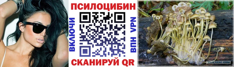 Галлюциногенные грибы GOLDEN TEACHER Цивильск