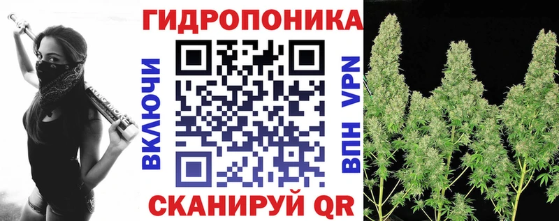 MEGA как войти  Цивильск  Бошки марихуана марихуана 